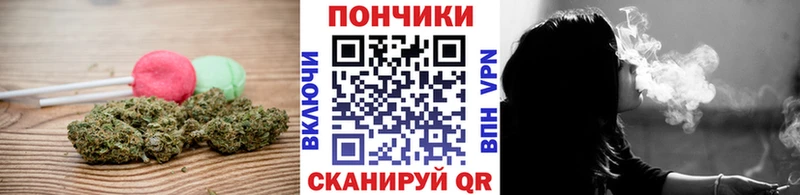 Canna-Cookies марихуана  как найти закладки  Вичуга 