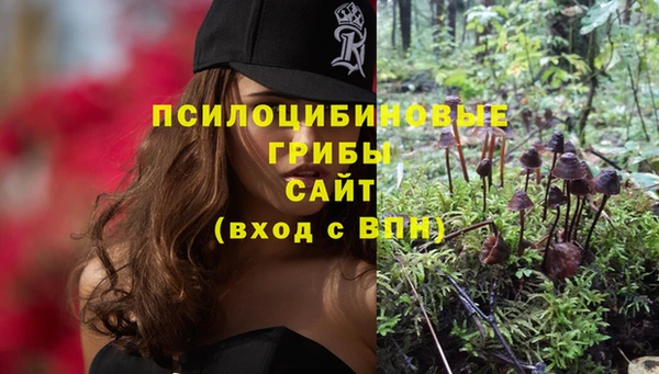2c-b Ростов