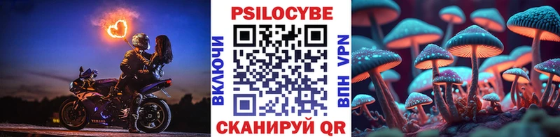 Псилоцибиновые грибы GOLDEN TEACHER  наркошоп  Вичуга 