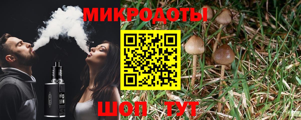 Галлюциногенные грибы ЛСД Вичуга